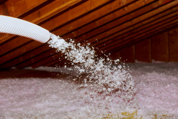 Best Insulation Materials and Products in Zolfo Springs, FL